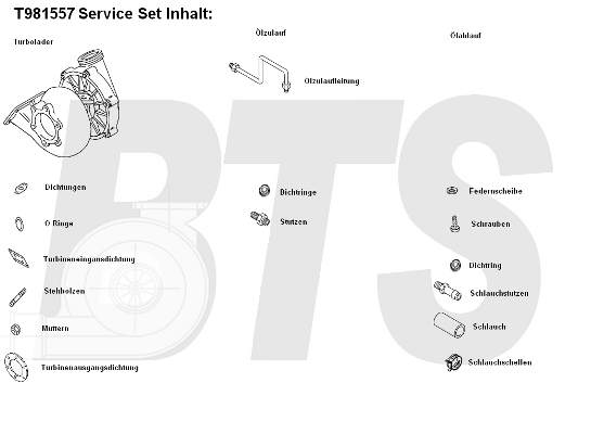 Compresor,sistem de supraalimentare T981557 BTS Turbo